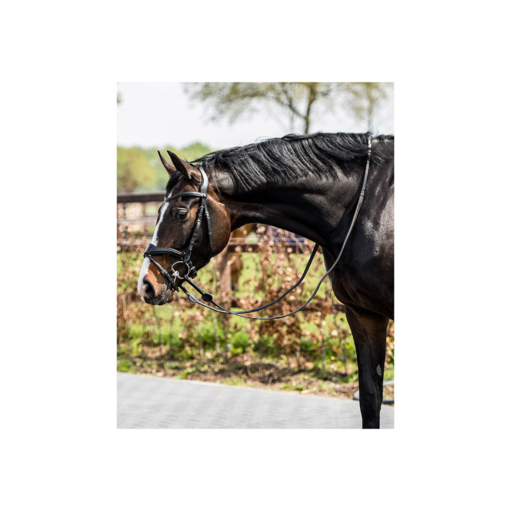 Falsterbo T-motion bridle