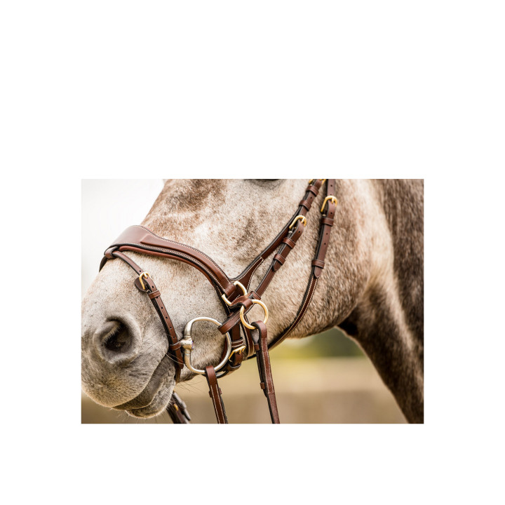 Falsterbo T-motion bridle