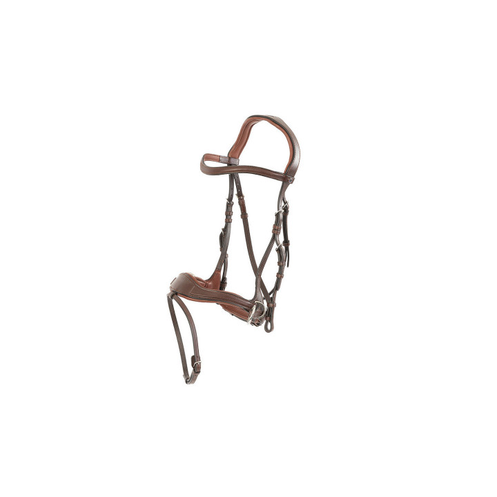 Falsterbo T-motion bridle