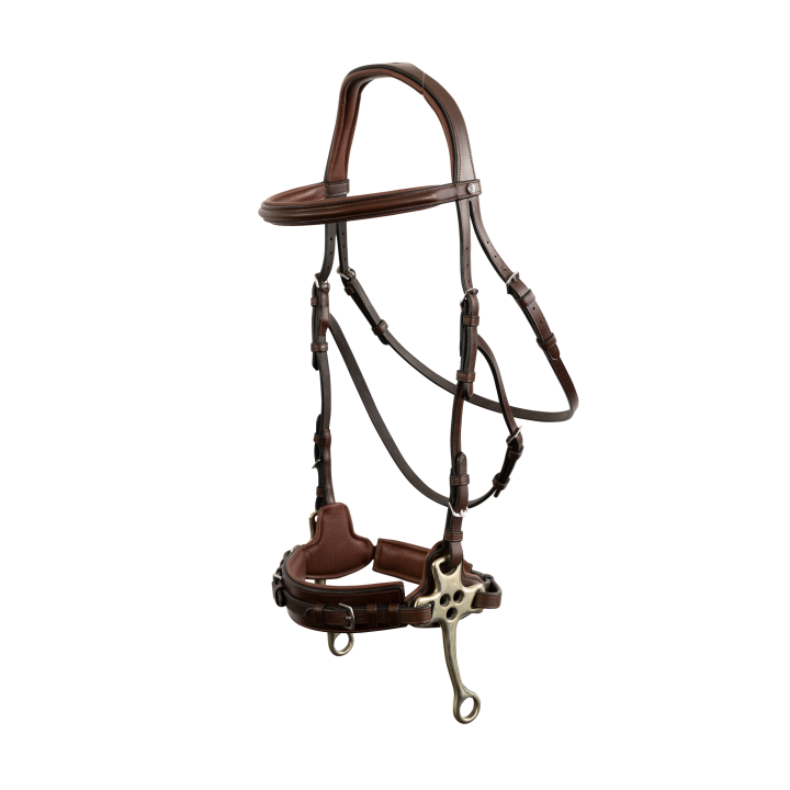 Sopot bridle
