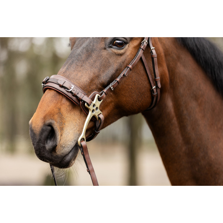 Sopot bridle