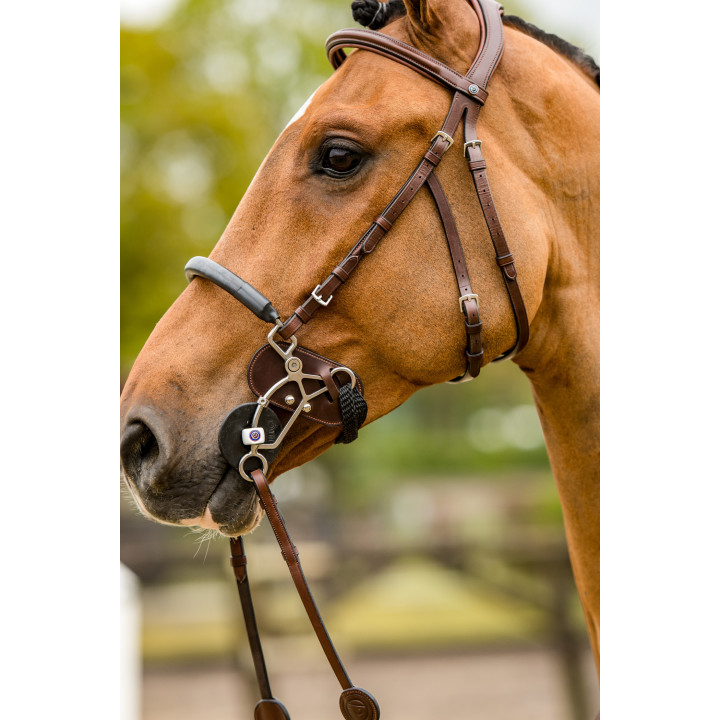 Trust Hackamore protector