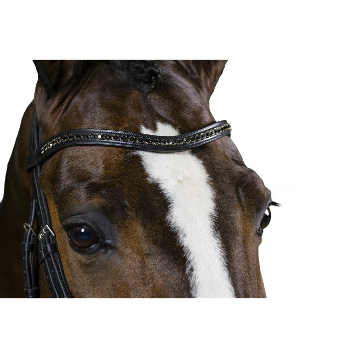 Browband black diamants