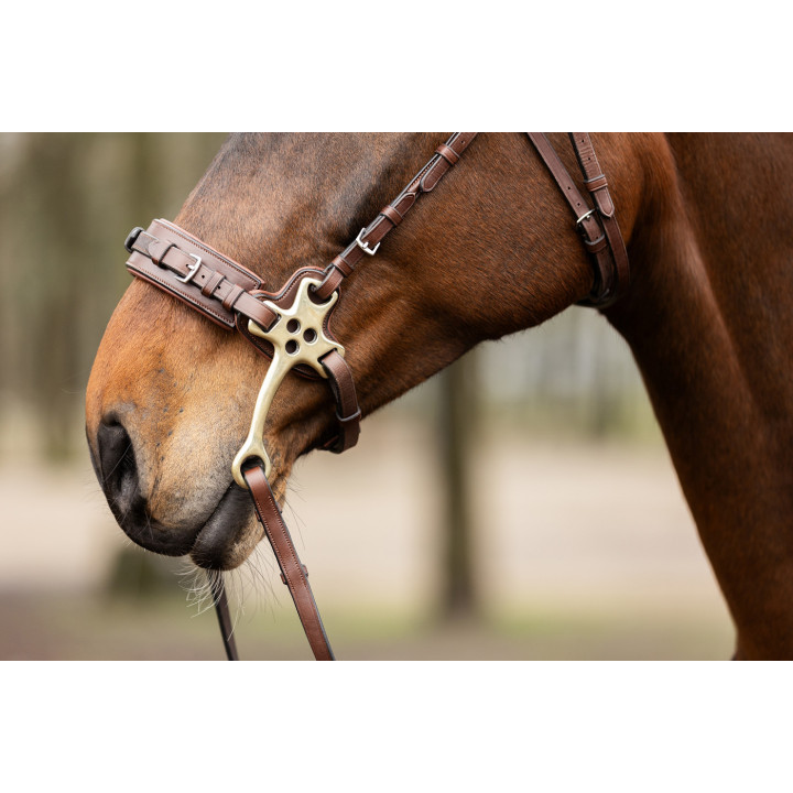 Hackamore noseband