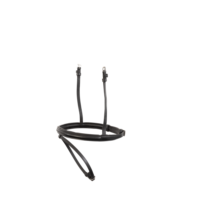 Trust Noseband Calgary