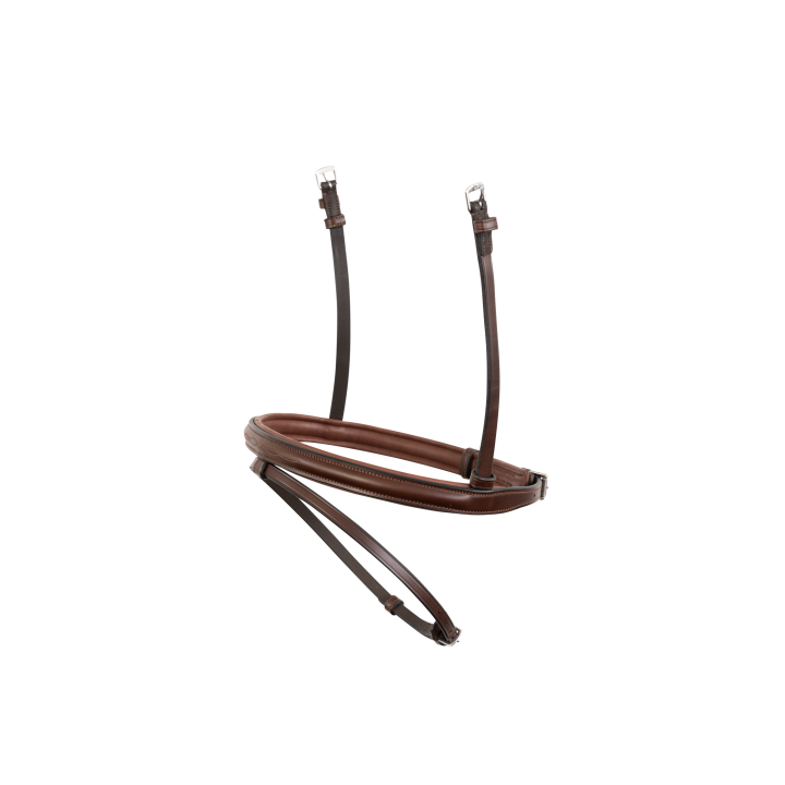 Trust Noseband Calgary