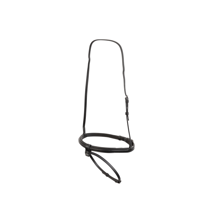 Trust Noseband Geneva