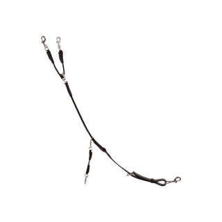 Trust Trainings rein Tyron