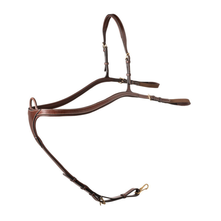 Lyon Long bridge breastplate