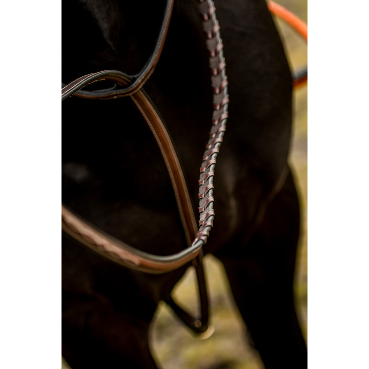 Hunter stand Martingale