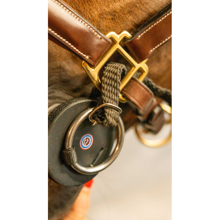 Trust Gąbkowy ścięgierz