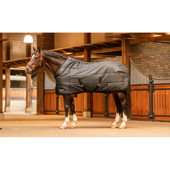 TRUST TETRIS Stable Rug