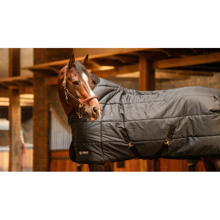 TRUST TETRIS Stable Rug