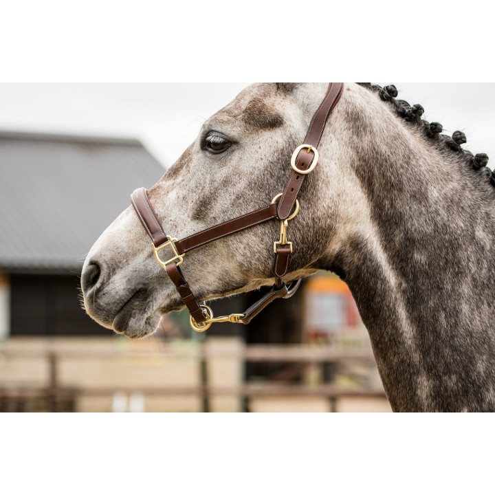 Trust halter San Miguel