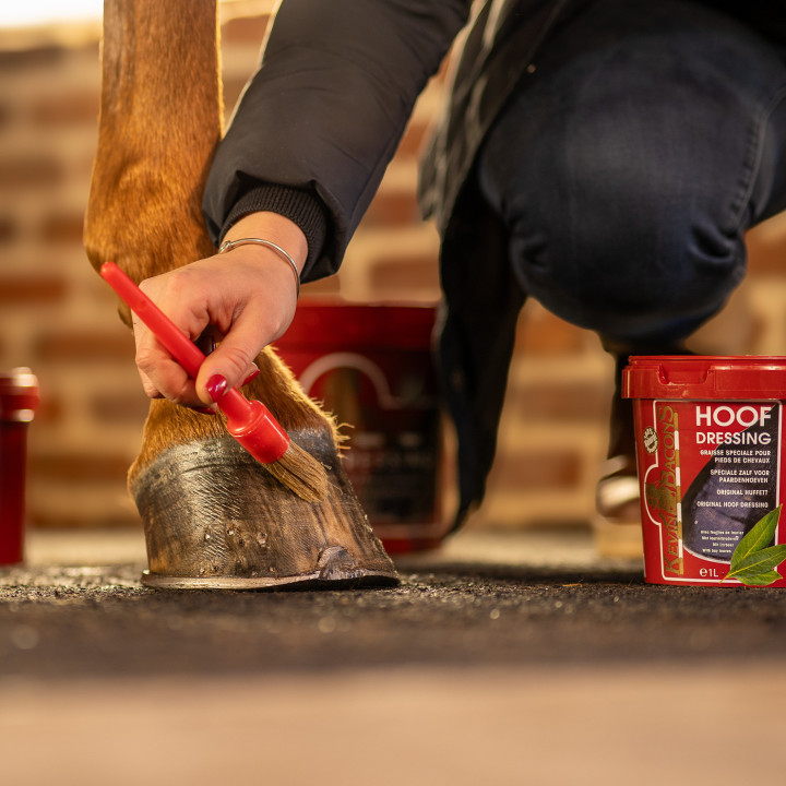 Kevin Bacons Hoofdressing Winter 5L (1pcs)