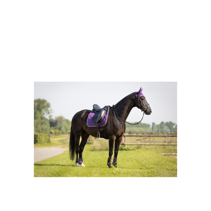 BR Event Tendon Boots